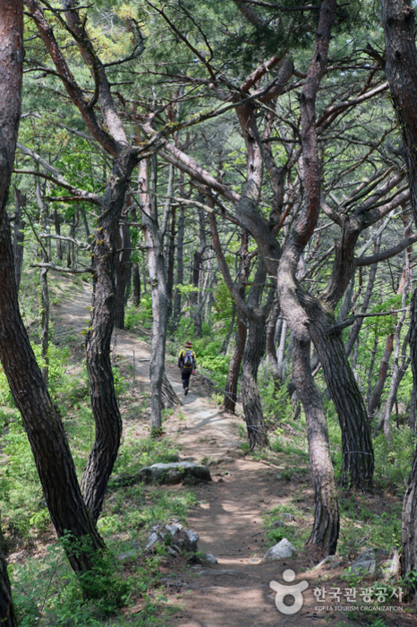 Goegok Seongbyeok Trail - Чечон-си, Чунгбук, Корея (https://codecorea.github.io)