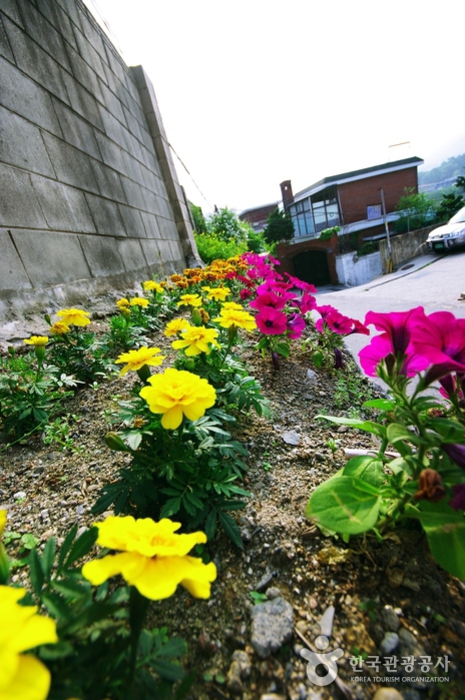 Blumen blühen und Gassen sind hell - Seongbuk-gu, Seoul, Korea (https://codecorea.github.io)