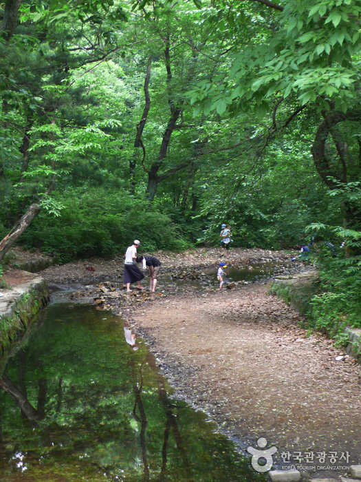 Ruisseau de la colline orientale - Guri-si, Gyeonggi-do, Corée (https://codecorea.github.io)