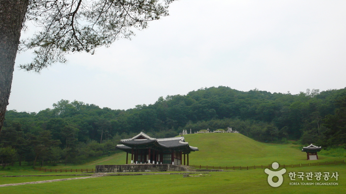 Vista panorámica de Sungneung - Guri-si, Gyeonggi-do, Corea (https://codecorea.github.io)