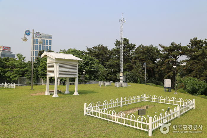 Estatua de hoja blanca de observador al aire libre - Dongjak-gu, Seúl, Corea (https://codecorea.github.io)