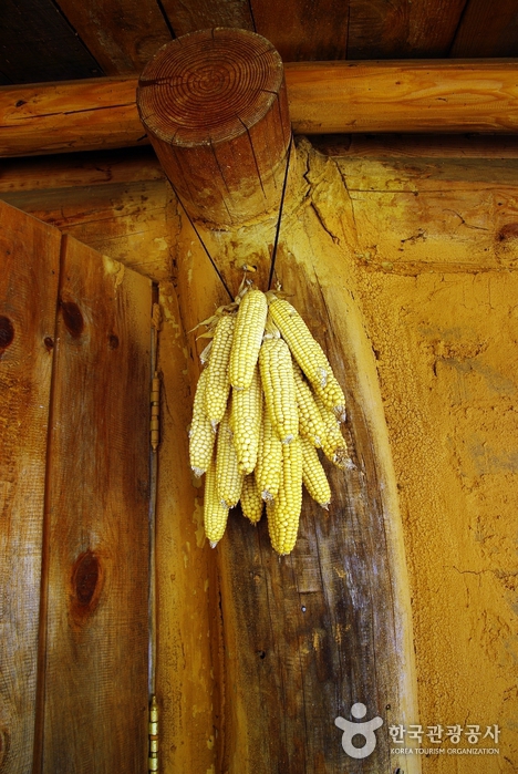 Corn hanging under the eaves of Bangseong Aejang - Jeongseon-gun, Gangwon-do, Korea (https://codecorea.github.io)