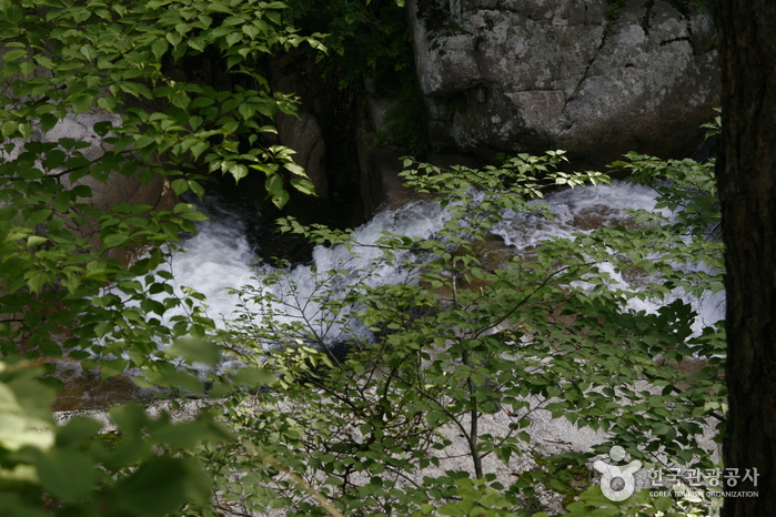 Der raue Wasserstrom stromaufwärts von Yongyeon Falls - Gyeongju, Gyeongbuk, Korea (https://codecorea.github.io)