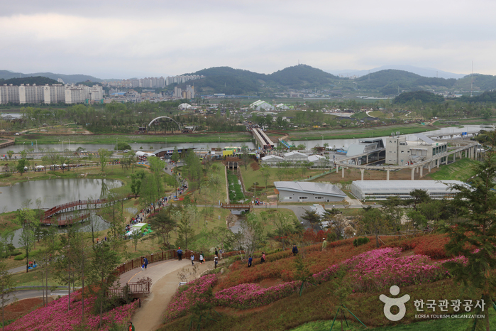 Landschaft vom Arboretum Observatory - Suncheon, Jeonnam, Korea (https://codecorea.github.io)
