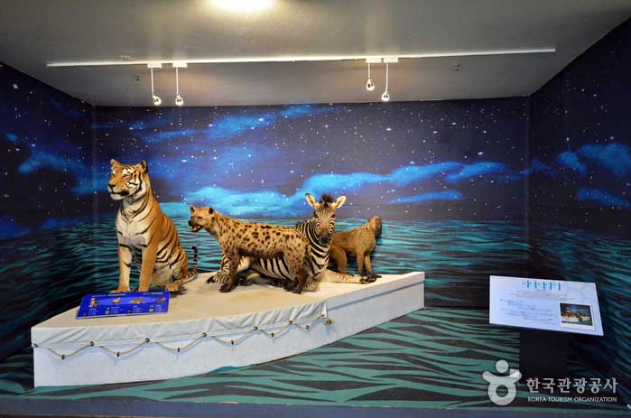 Animaux de restauration à rencontrer dans la salle d'exposition spéciale - Pocheon, Corée du Sud (https://codecorea.github.io)