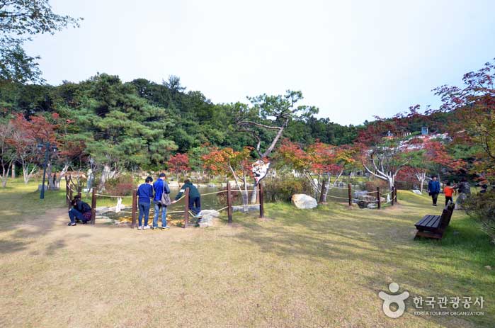 Estanque de carpas. Dé un paseo y disfrute del ambiente otoñal - Pocheon, Corea del Sur (https://codecorea.github.io)