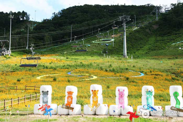 Das Alpensia Resort bietet viele verschiedene Erlebnisse - Pyeongchang-Pistole, Gangwon-do, Korea (https://codecorea.github.io)