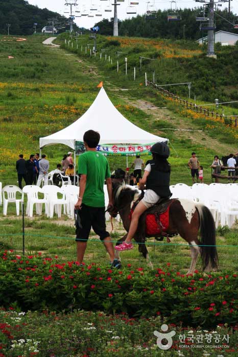 Das Alpensia Resort bietet viele verschiedene Erlebnisse - Pyeongchang-Pistole, Gangwon-do, Korea (https://codecorea.github.io)