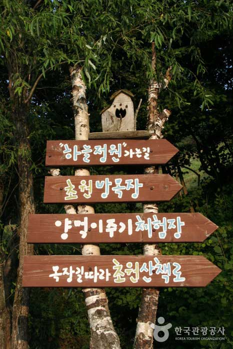 В Daegwallyeong есть различные места, где вы можете подружиться с овцами. - Пхенчхан-гун, Канвондо, Корея (https://codecorea.github.io)