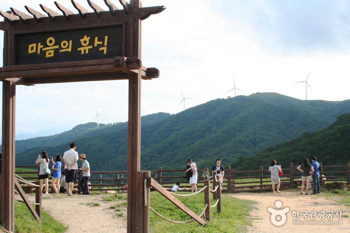 Die Samyang Ranch bietet die größte im Osten - Pyeongchang-Pistole, Gangwon-do, Korea (https://codecorea.github.io)