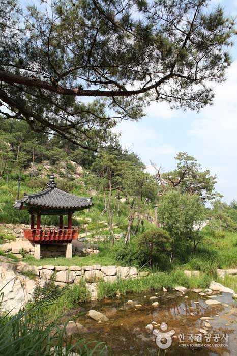 Afternoon in the water, sky, trees and pavilion - Jongno-gu, Seoul, Korea (https://codecorea.github.io)
