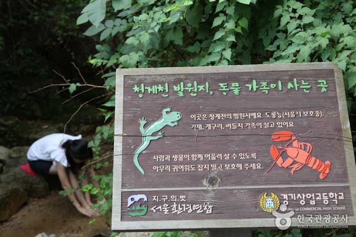 Das Suseongdong-Tal, in dem Salamander und Krebse leben, ist der Geburtsort von Cheonggyecheon. - Jongno-gu, Seoul, Korea (https://codecorea.github.io)