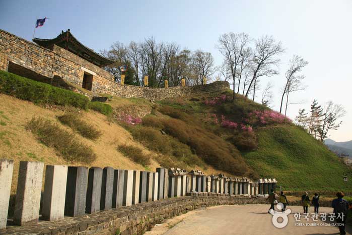 Das Goldene Tor der kommunistischen Burg schaut hinaus - Gongju-si, Chungcheongnam-do, Korea (https://codecorea.github.io)
