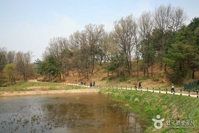 Itinéraire à partir de National Princess Museum à Songsan Rigogun - Gongju-si, Chungcheongnam-do, Corée (https://codecorea.github.io)