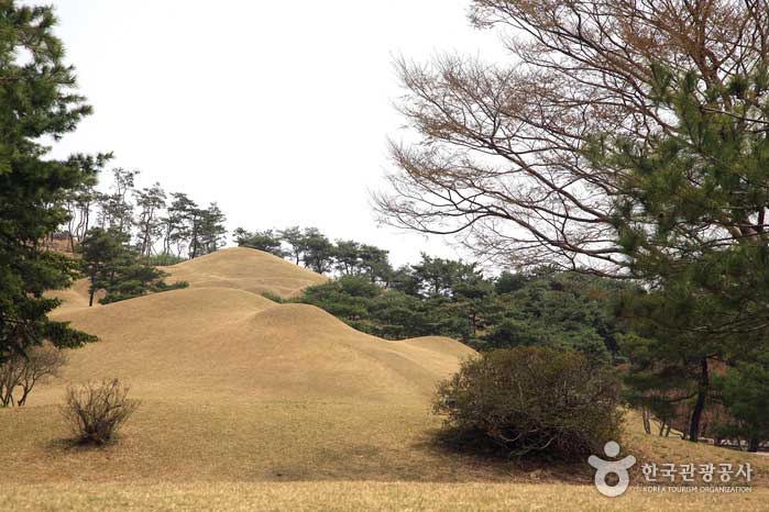 Vue sur le comté de Songsan Ligo - Gongju-si, Chungcheongnam-do, Corée (https://codecorea.github.io)