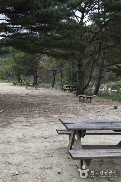 Un camping natural donde disfrutar de un largo descanso - Hongcheon-gun, Gangwon-do, Corea (https://codecorea.github.io)