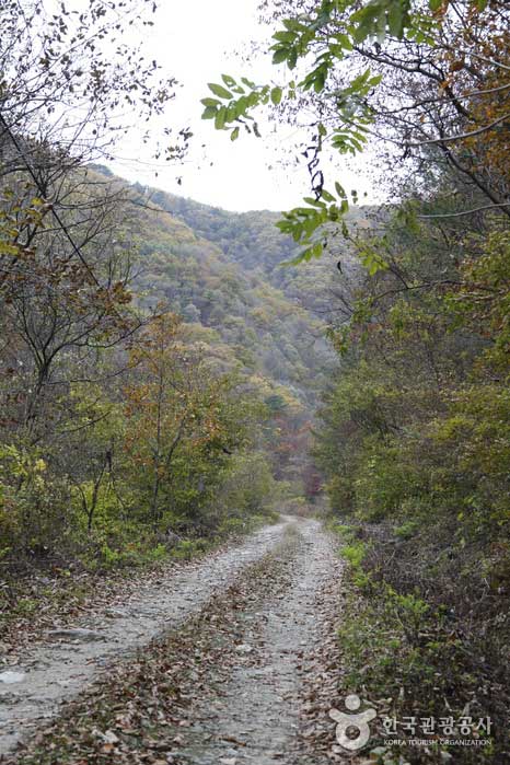 Munamgol Trekking Course pour marcher au printemps et en automne - Hongcheon-gun, Gangwon-do, Corée (https://codecorea.github.io)
