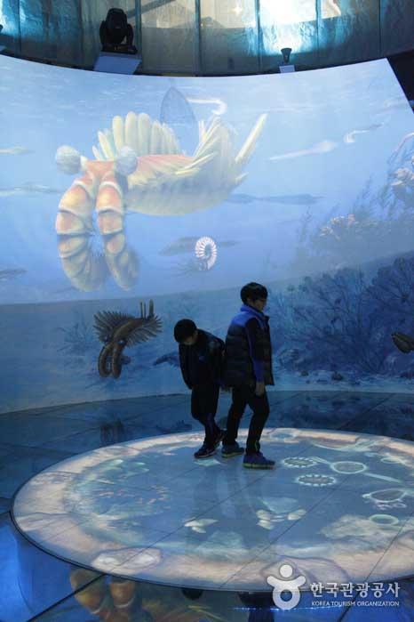 Museo de la vida marina en el Museo de Historia Natural Paleozoico de Taebaek - Taebaek-si, Gangwon-do, Corea (https://codecorea.github.io)