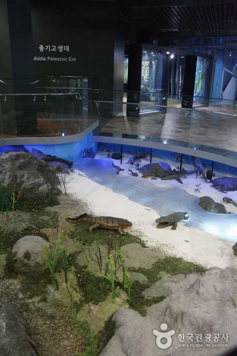 Musée d'histoire naturelle du Paléozoïque de Taebaek Exposition du Mésozoïque - Taebaek-si, Gangwon-do, Corée (https://codecorea.github.io)