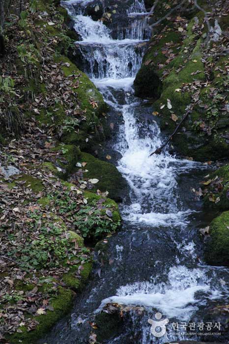 A small waterfall flowing through limestone - Taebaek-si, Gangwon-do, Korea (https://codecorea.github.io)