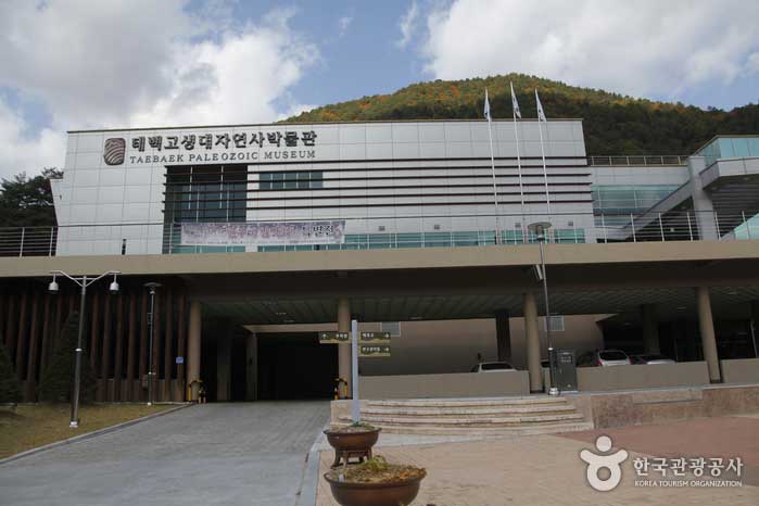 Taebaek палеозойский музей естествознания - Taebaek-si, Канвондо, Корея (https://codecorea.github.io)