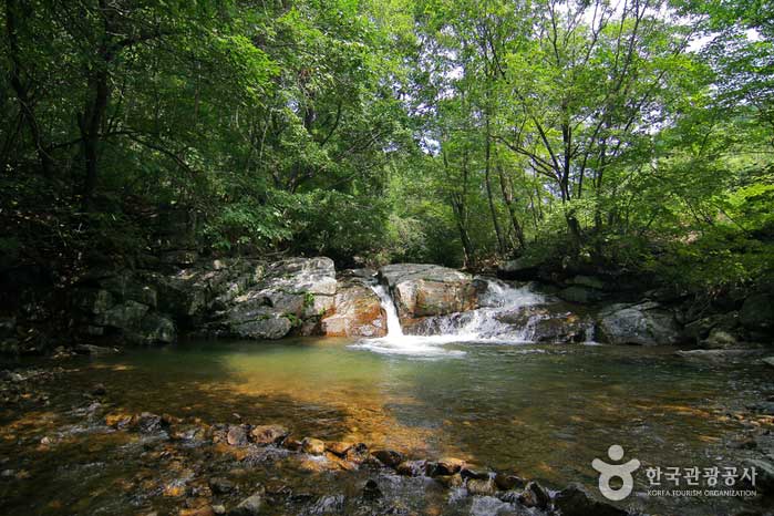 Cascada sin nombre en el valle del agua - Chuncheon, Gangwon, Corea (https://codecorea.github.io)