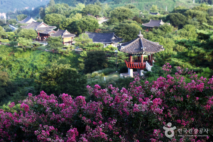 Alto precio del Complejo del Patrimonio Cultural de Cheongpung - Jecheon-si, Chungbuk, Corea (https://codecorea.github.io)