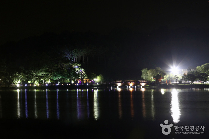最も美しい夜景の1つであるEuirimji Promenade - 忠清北道済川市 (https://codecorea.github.io)