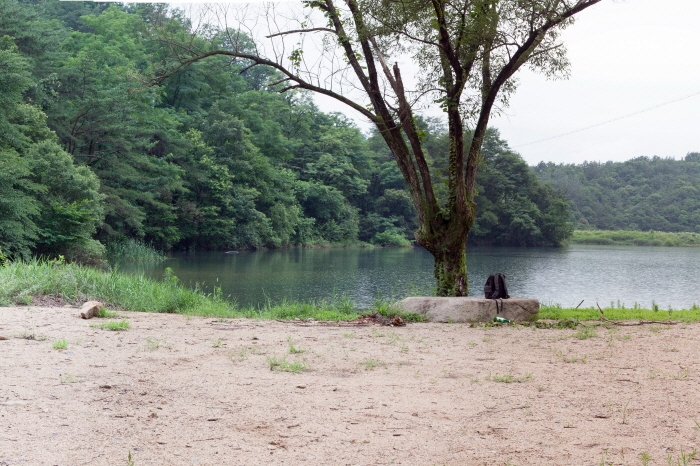 Muam Reservoir que Han Yi-soo y Cho Hae-woo conocieron en 'Shark' (Foto: video tribunal de Cheongpung) - Jecheon-si, Chungbuk, Corea (https://codecorea.github.io)