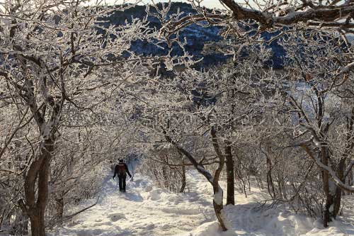 Taebaeksan, Gangwon, amado por el senderismo de montaña de nieve(남성) - Inje-gun, Gangwon-do, Corea (https://codecorea.github.io)