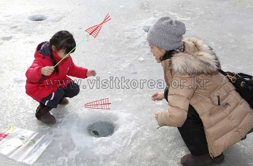 Hwacheon Sancheoneo Fish Festival, самый популярный зимний сезон - Инье-гун, Канвондо, Корея (https://codecorea.github.io)