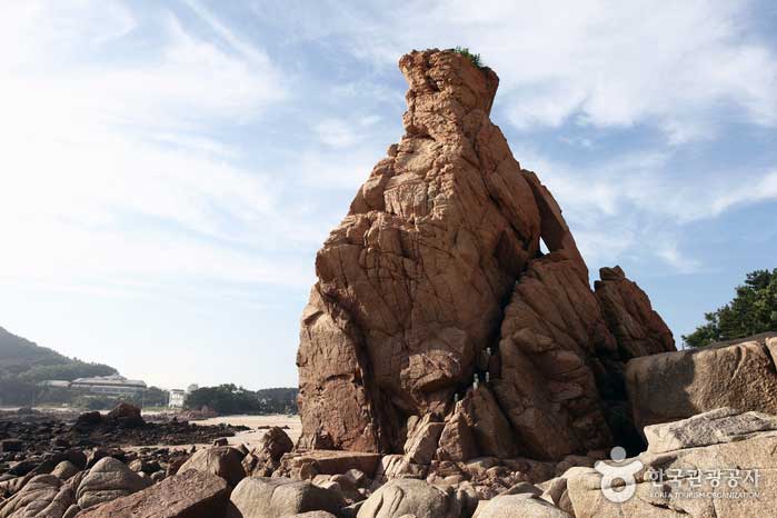 Regarder derrière le rocher de fée ressemble à un ours - Jung-gu, Incheon, Corée (https://codecorea.github.io)