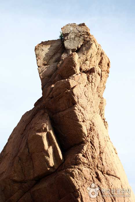 妖精が岩を抱きしめているように見えるのは印象的です。 - 仁川中区 (https://codecorea.github.io)