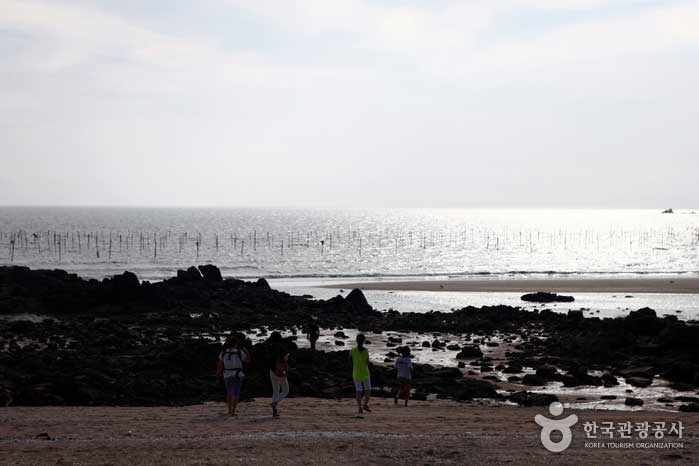 Una familia caminando hacia el mar como una escena de <Aging Family> - Jung-gu, Incheon, Corea (https://codecorea.github.io)