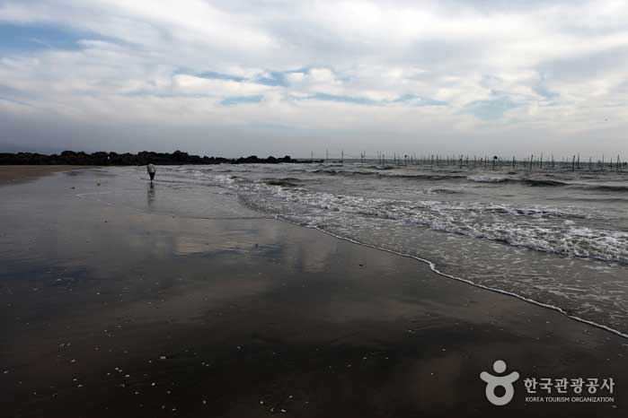Панорамный вид на белый песчаный пляж в небе прекрасен - Чон-гу, Инчхон, Корея (https://codecorea.github.io)