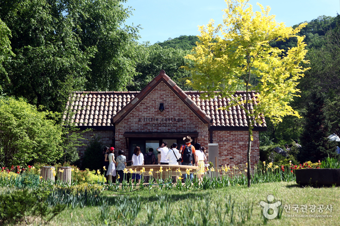 Cottage Garden filmando un beso de algodón de azúcar - Chuncheon, Gangwon, Corea (https://codecorea.github.io)