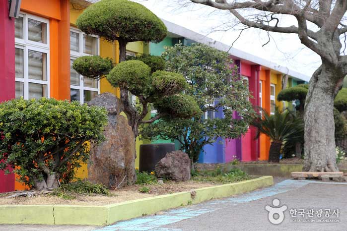 學校就像彩色展廳 - 韓國濟州島西歸浦市 (https://codecorea.github.io)