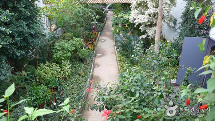 Botanical garden walkway - Seongdong-gu, Seoul, Korea (https://codecorea.github.io)