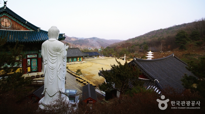 Donde los ojos de la cabeza del Buda Amitabha - Sejong de Corea (https://codecorea.github.io)
