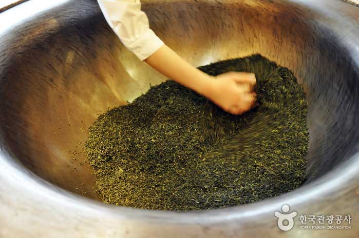 綠茶博物館展示綠茶 - 韓國濟州島西歸浦市 (https://codecorea.github.io)