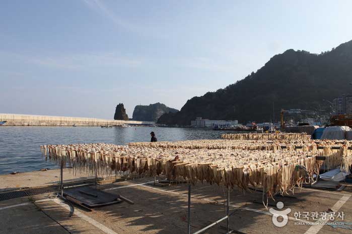 Puerto de Jeodong donde se secan los calamares - Corea del Sur Gyeongbuk Ulleungdo (https://codecorea.github.io)