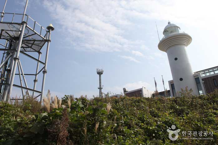 If you walk about 10 minutes on a monorail, it is Taeha Lighthouse. - South Korea Gyeongbuk Ulleungdo (https://codecorea.github.io)