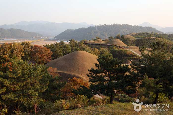 Hay un camino para caminar a lo largo de la tumba. - Haman-gun, Gyeongnam, Corea del Sur (https://codecorea.github.io)