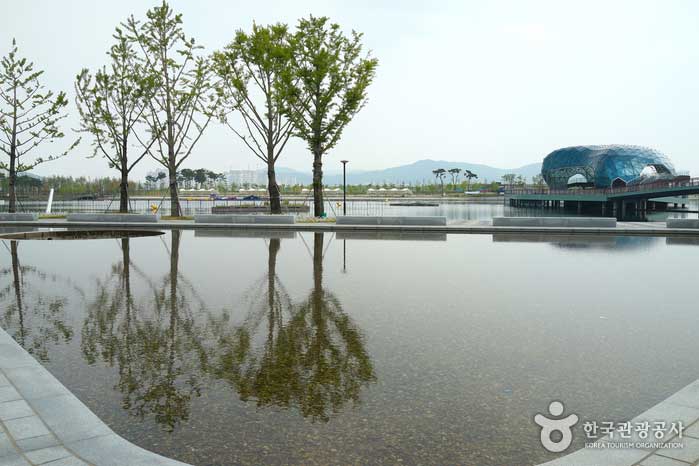 L'île de la scène depuis l'île du Festival - Sejong, République de Corée (https://codecorea.github.io)