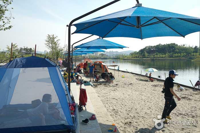 Playa de plata en el parque del lago Sejong - Sejong, República de Corea (https://codecorea.github.io)