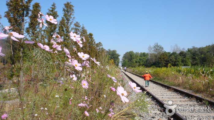 Old railroad tracks beside arboretum - Guro-gu, Seoul, Korea (https://codecorea.github.io)