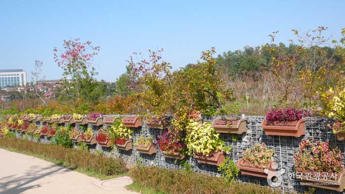 Support de jardinière à l'aide d'un mur en béton - Guro-gu, Séoul, Corée (https://codecorea.github.io)