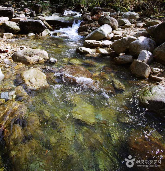 El agua del valle que fluye frente a la ermita - Jecheon-si, Chungbuk, Corea (https://codecorea.github.io)