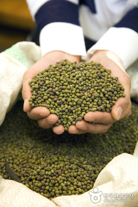 Green beans are purchased through contract cultivation - Mungyeong, Gyeongbuk, South Korea (https://codecorea.github.io)