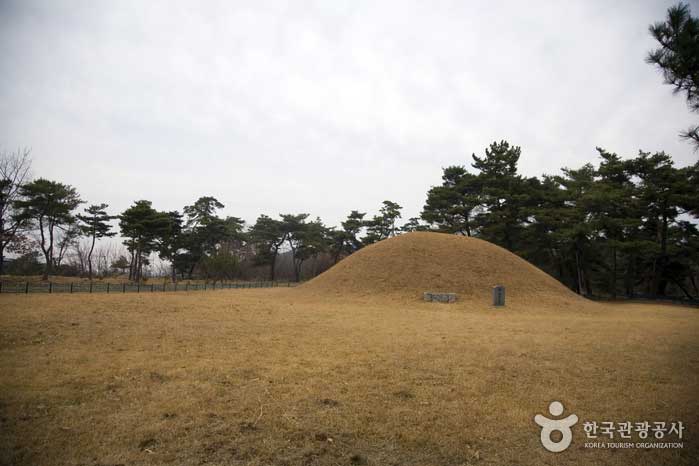 Enzym-Königsgräber in der Nähe von Seongdeok-Königsgräbern - Gyeongju, Gyeongbuk, Korea (https://codecorea.github.io)